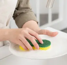 Buy Dish Scouring Pads online