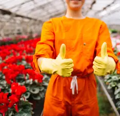 Buy Gardening Gloves & Protective Gear online