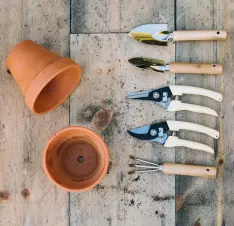 Buy Gardening Pots & Accessories online