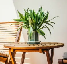 Buy Outdoor Garden Table online