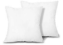 2 bed pillows with cover