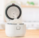 automatic rice cooker