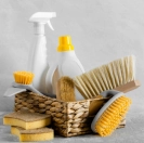 rugs and carpet cleaners