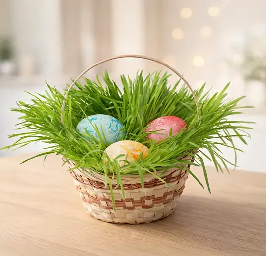 grass for easter 2026