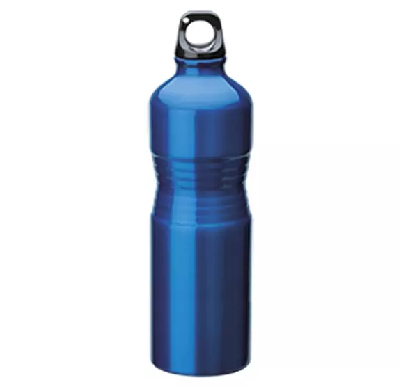 reusable water bottles ideal for family trips