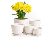 Gardening Pots & Accessories