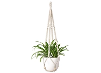Hanging Planters