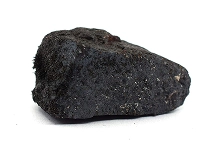 Science Classroom Specimens