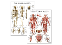Science Education Charts & Posters