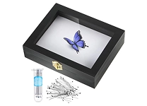 Science Education Insect Kits