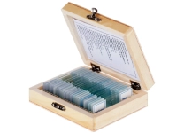 Science Microscope Sample Slides