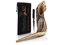 shofar instrument