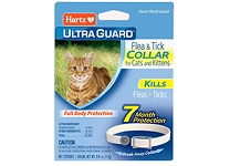 cat-flea-tick-control