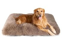 dog-beds-furniture
