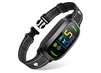 dog-collars-harnesses-leashes