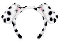 dog-hair-accessories