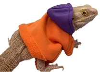 reptile-amphibian-apparel