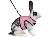 small-animal-collars-harnesses-leashes