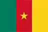 Cameroon flag