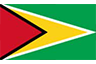 Guyana icon
