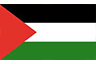 Palestine icon