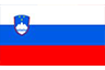 Slovenia icon
