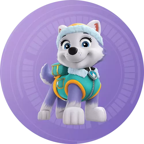 everest paw patrol snow playsets and toys