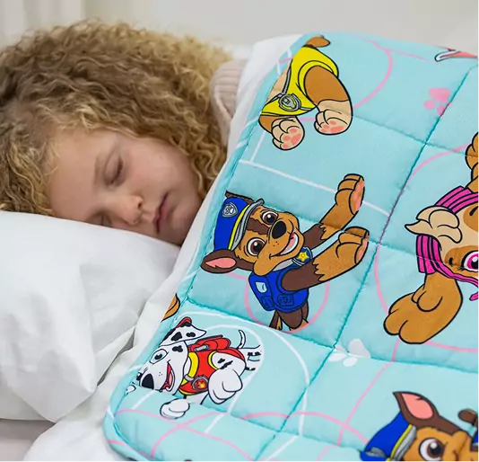 paw patrol soft blanket for kids