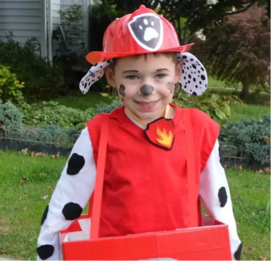 paw patrol character costume for children