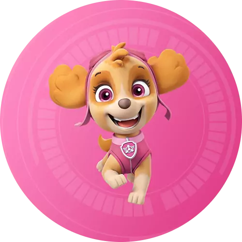 skye paw patrol plush and playsets