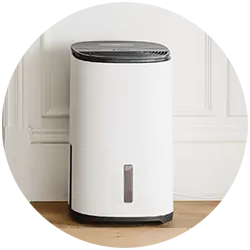air purifier with dehumidifier function