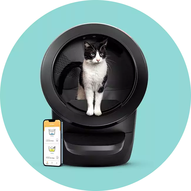 self-cleaning litter box for cats