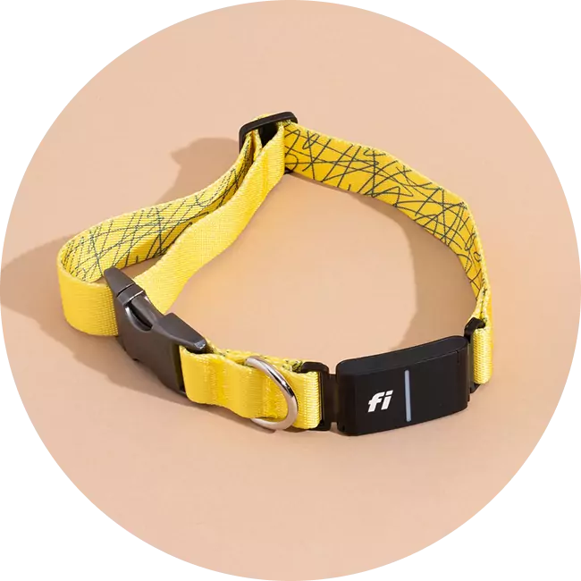 gps collar for pet tracking