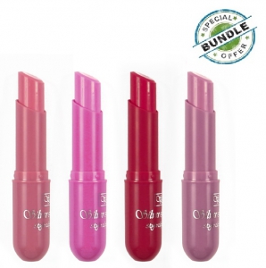 Silver Lady Stylo Lipstick SET (Pack of 4)
