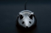 https://d2ati23fc66y9j.cloudfront.net/ubuy/75x/1/5/1547715366552195145RACINGMOUSESchluesselanhaengermoodRGB1280x1024.jpg