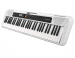 Casio Portable Keyboard - White