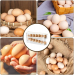https://d2ati23fc66y9j.cloudfront.net/ubuy/75x/1/7/172777439810177EGGBOX.jpg