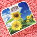 Manual Weighing Scale JWC-17