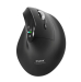 https://d2ati23fc66y9j.cloudfront.net/ubuy/75x/1/7/179083050249397PORTMOUSEERGONOMICRECHARGEABLEBT.jpg
