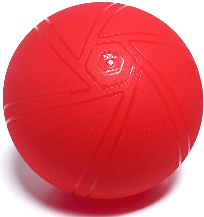 ReEvolve PVC Gym Ball 65cm