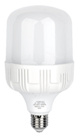 Terminator 30W LED Bulb E27- White - TLEDB-3027