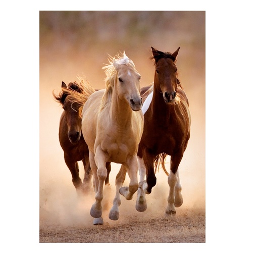 Clementoni Running Horses Puzzle - 1000 Pcs - High-quality Collection