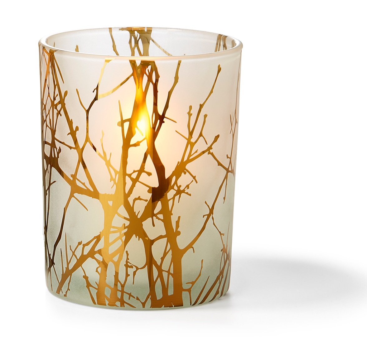 Philippi - Forest Wind Light Small
