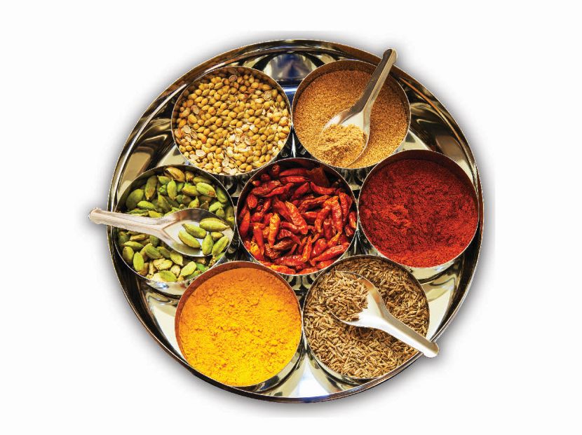 Hamilton Beach Stainless Steel Spice Set of 11