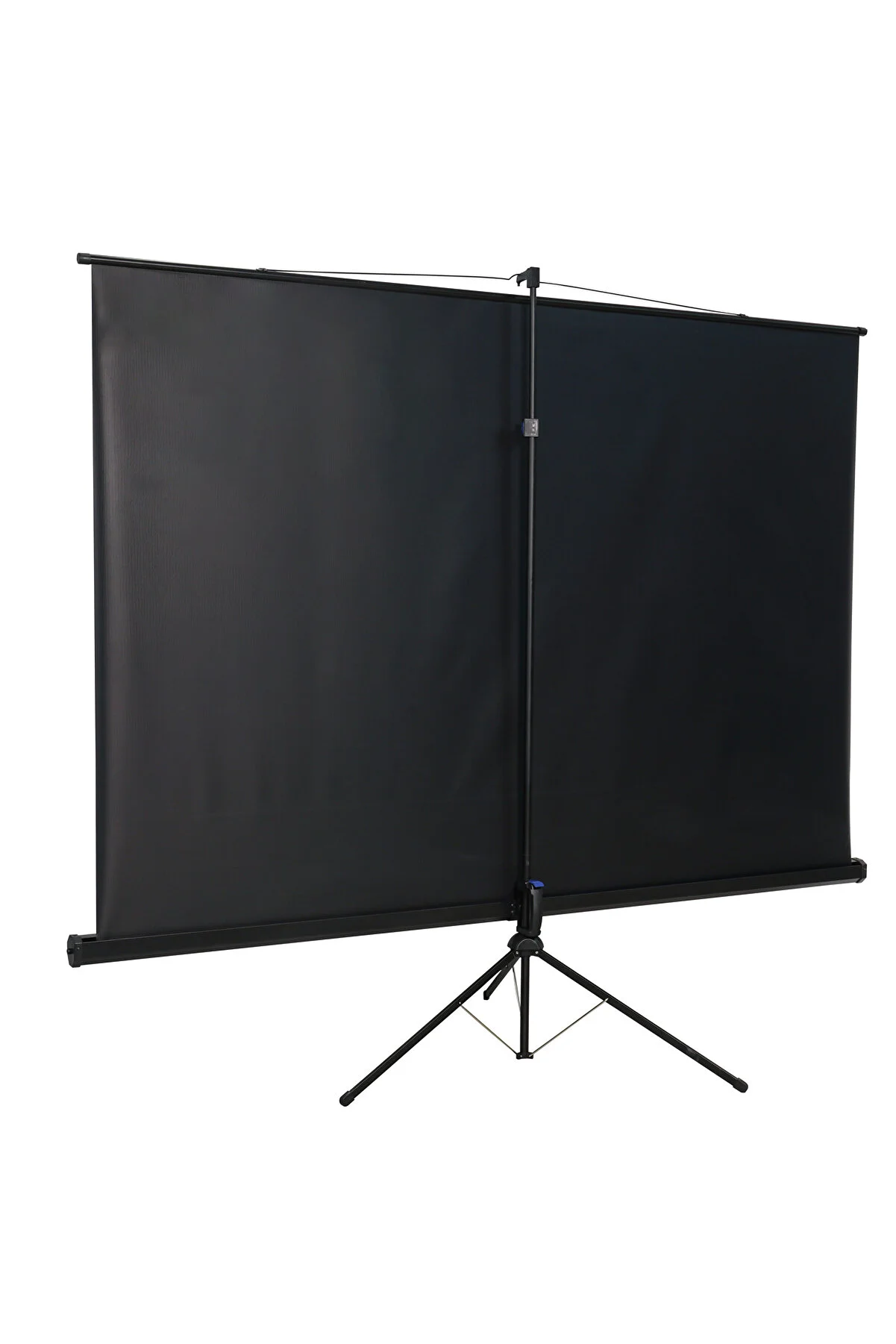 Havit 220x125cm Adjustable 100inch 16:9 Size Footed Projection Screen PS100