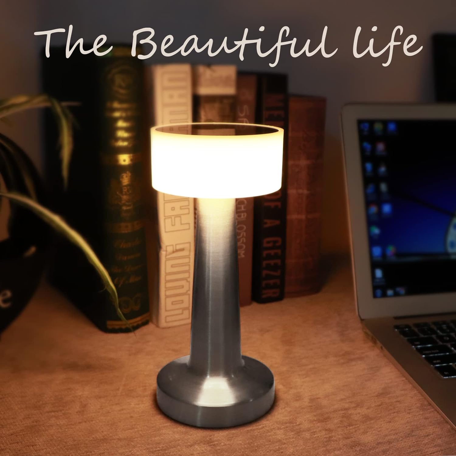 SkyKey Rechargeable Touch Table Lamp LED Bedside & Desk Light - Silver