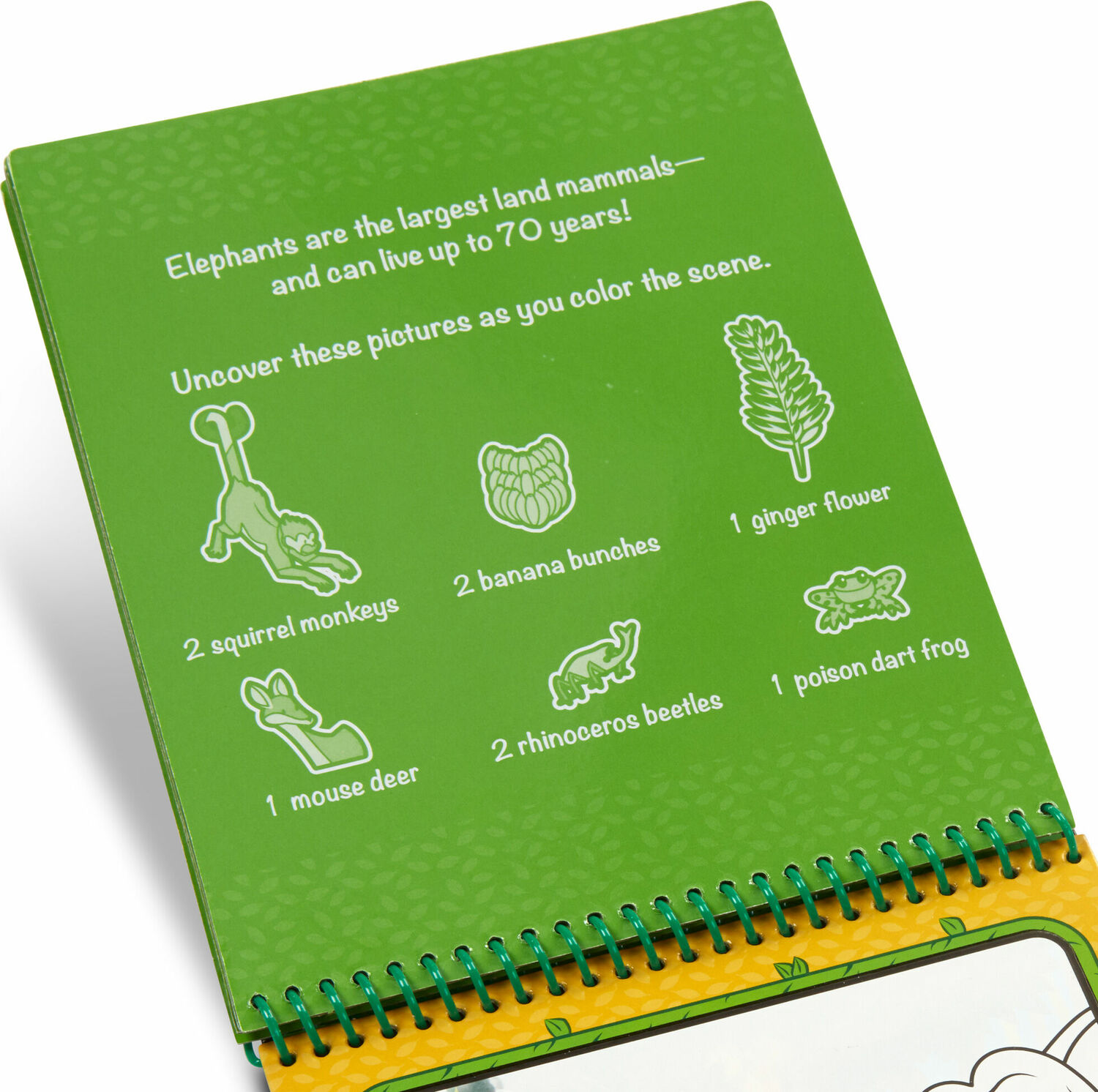 Melissa and Doug Water Wow! Jungle Water-Reveal Pad - On-the-Go Travel Activity