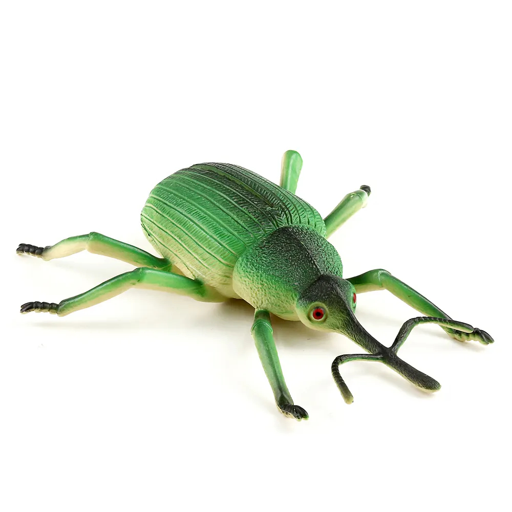 Galaxy Toys 8 - Inch Bamboo Beetle Tie Board