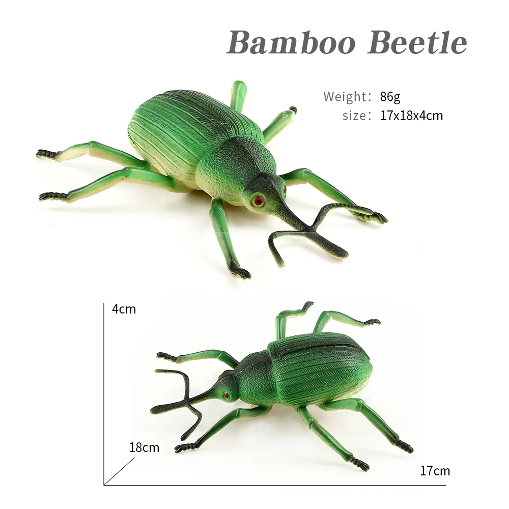Galaxy Toys 8 - Inch Bamboo Beetle Tie Board