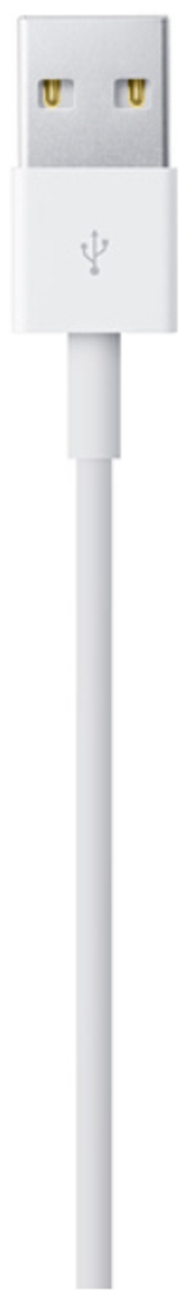 Apple Lightning to USB Cable - 1M